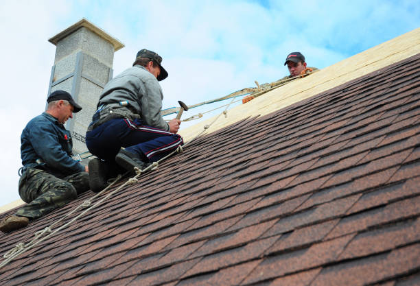 Best Best Roofing Contractors  in Paris, TN